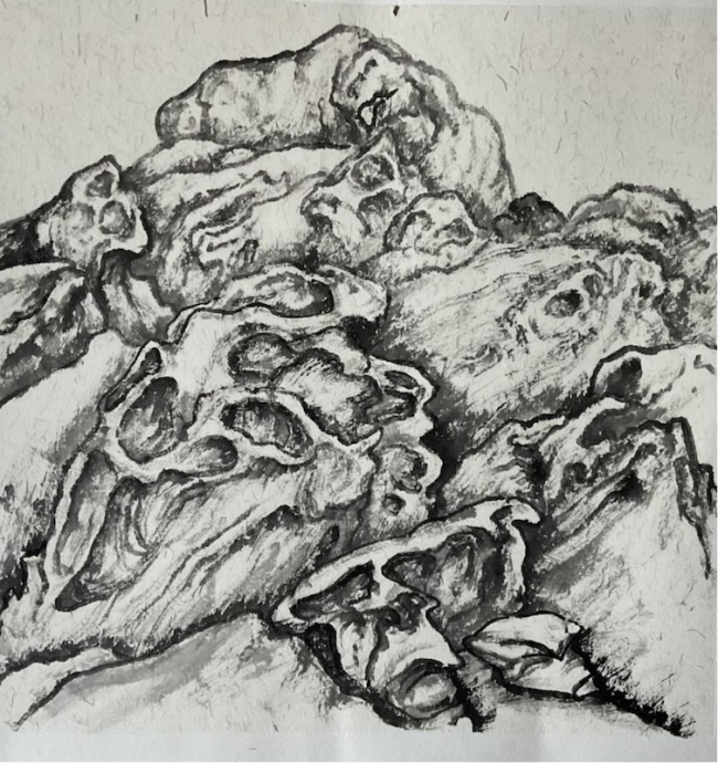 走遍中国——中国文促会好意思术家写生创作步履走进新疆